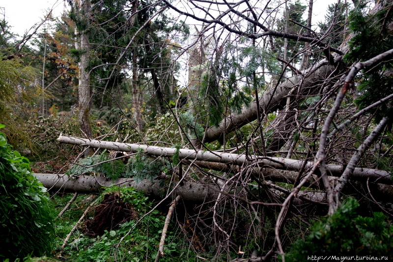 Удар! Еще удар.... Южно-Сахалинск, Россия Удар! Еще удар.... Южно-Сахалинск, Россия