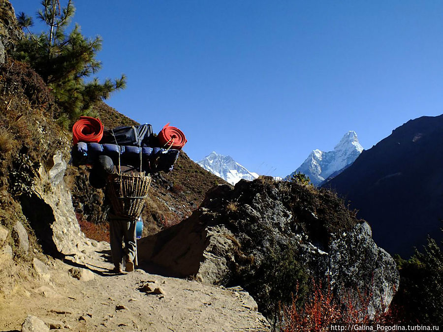 портер на тропе портер на тропе