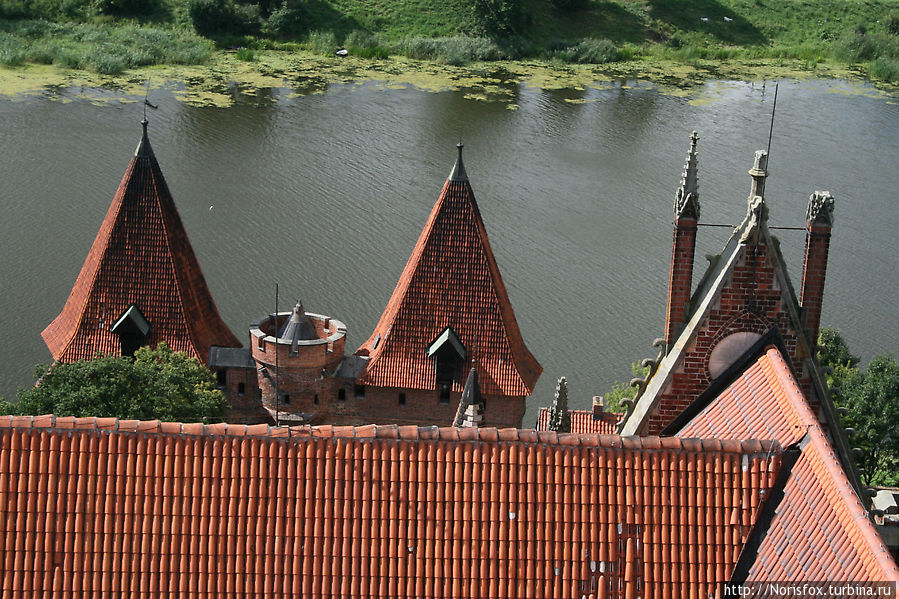 Вид с Главной башни на Мостовые башни Мальборк, Польша