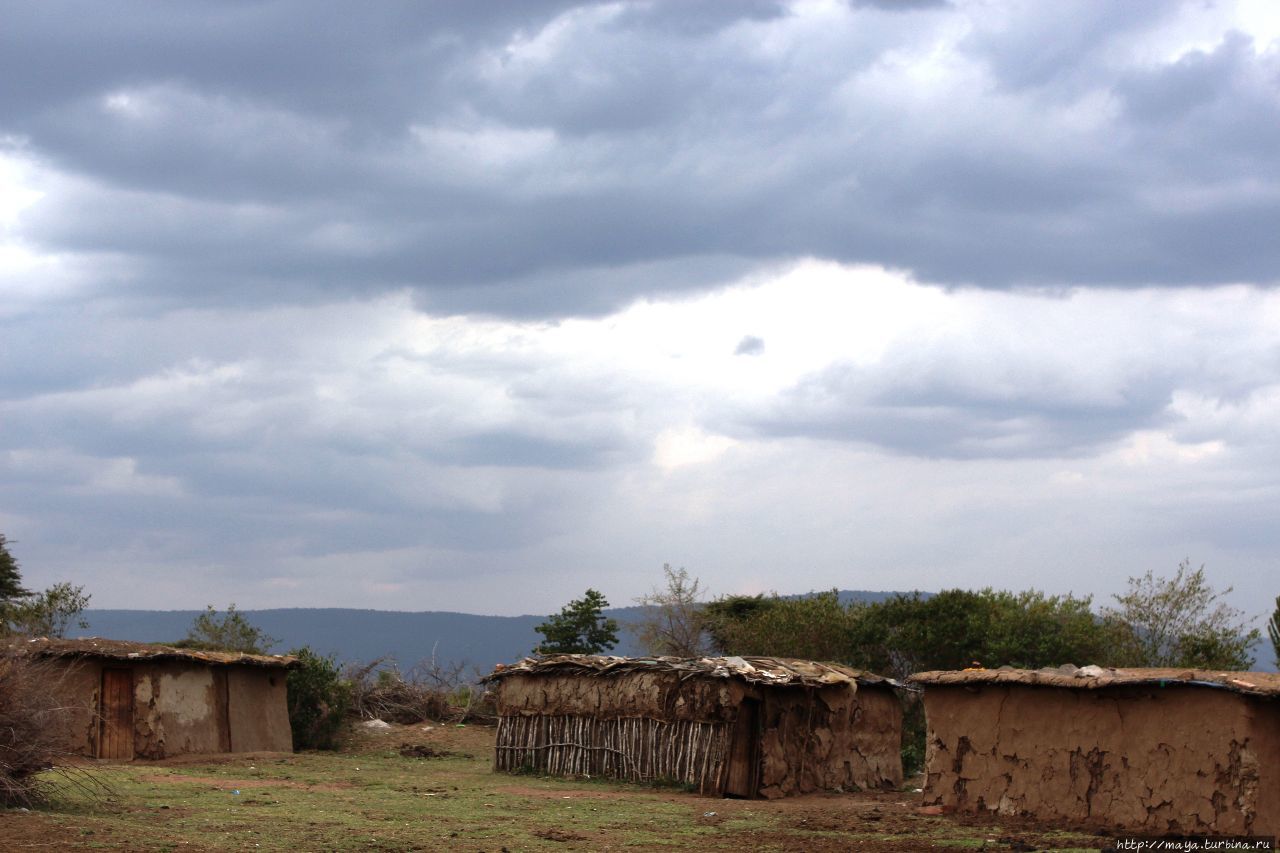 Земля Масаев Масаи-Мара Национальный Парк, Кения
