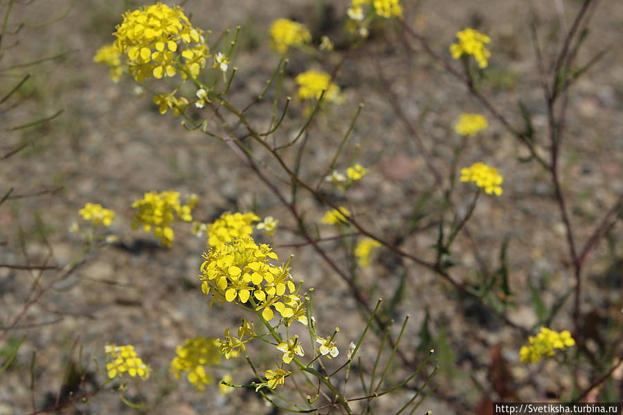 Озеро Цалка Цалка, Грузия Озеро Цалка Цалка, Грузия