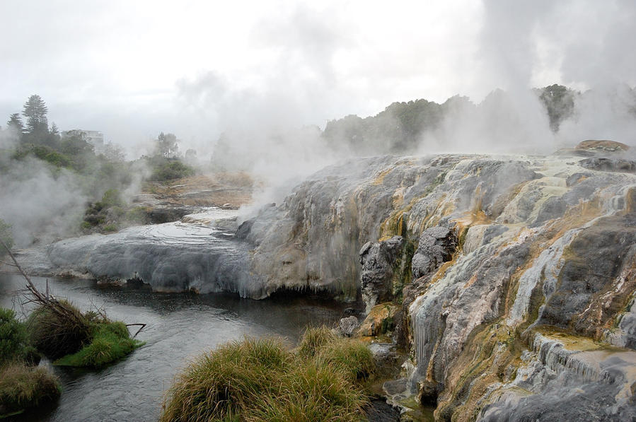 Долина гейзеров Вакареварева. Гейзер Похуту Роторуа, Новая Зеландия