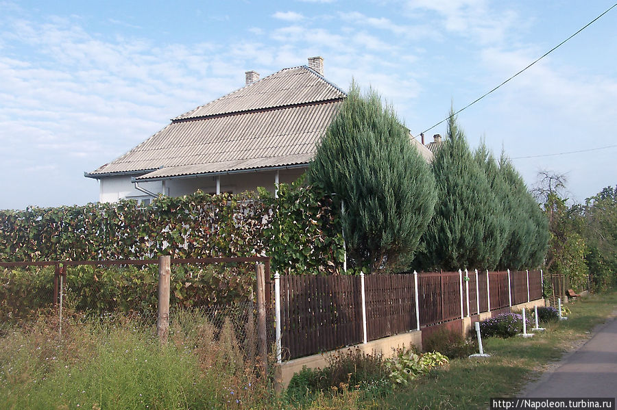 Поселок Батьово Батьёво, Украина