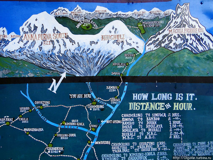 Чомронг находится на высоте вроде небольшой — всего 1950 метров. дальше предстояло достичь деревни  Синуа на высоте 2370 м, потом заночевать в Бамбу (2190 м), а оттуда через Дован (2505 м) дойти до Хималаи (2900 м). Чомронг, Непал