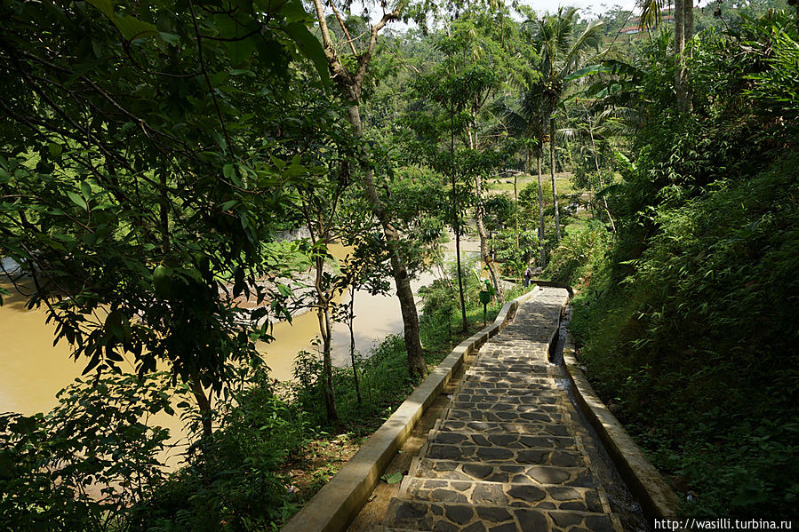 Спуск к речке. Спуск к речке.