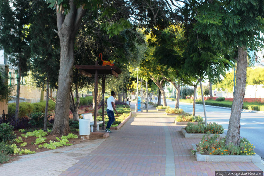 Как я провела Судный день Как я провела Судный день