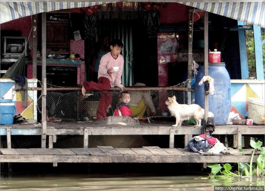 За эту семью можно не беспокоиться... Провинция Сиемреап, Камбоджа
