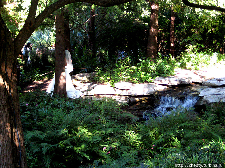 Хорошо в парке, невесты в Хорошо в парке, невесты в