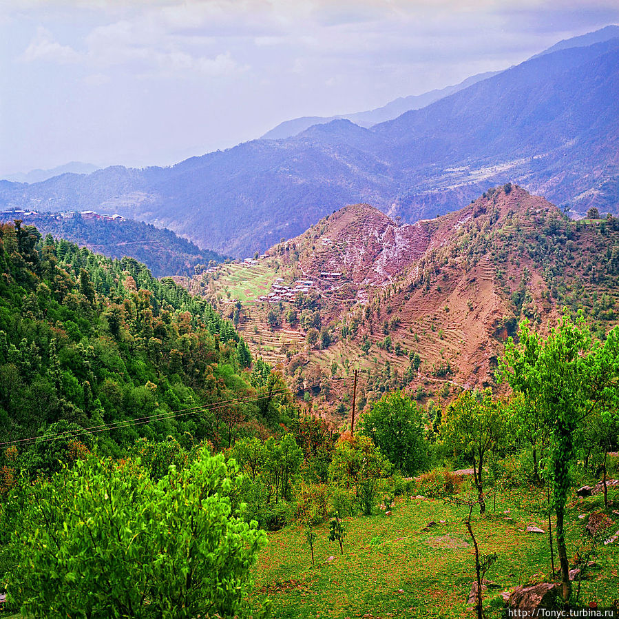 Вид на долину, почти Майа Дхарамсала, Индия