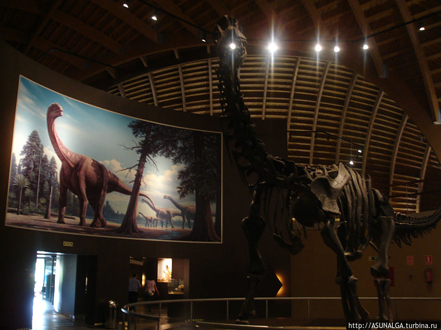 В триасовом зале есть экспонаты динозавров, обитавших в триасе (с 251 до 200 миллионов лет назад). Также показаны гастролиты, копролиты (окаменелый навоз), яйца и гнёзда. Скелет платеозавра — самый крупный в этом зале. Колунга, Испания