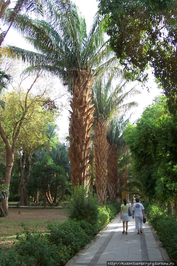 Ботанический сад на острове Китченера Асуан, Египет