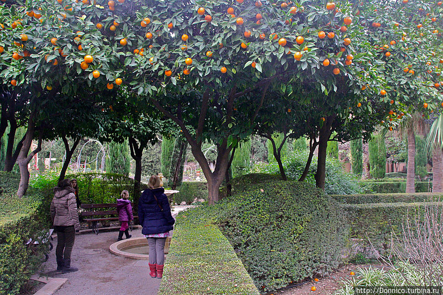 Сад Монфорте Валенсия, Испания