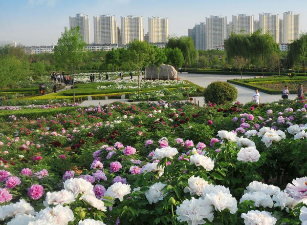 Исторический ботанический сад (Суй и Тан) / Sui-Tang Site Botanical Garden