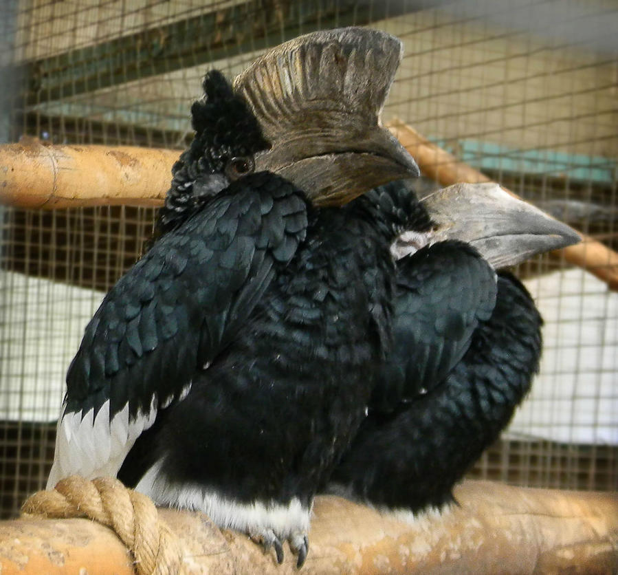 Просто суббота Тель-Авив, Израиль Просто суббота Тель-Авив, Израиль