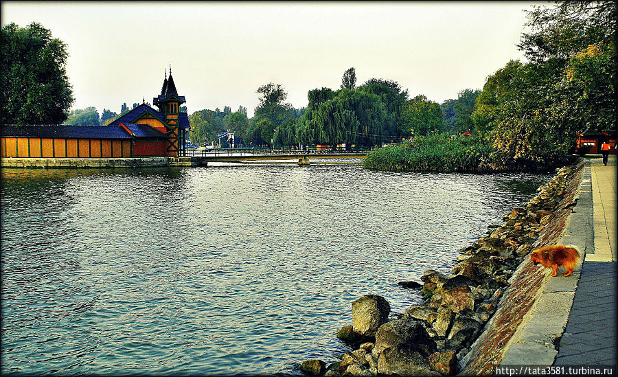 С Главной площади города начинается улица королевы Эржбет, если по ней идти, то можно выйти к набережной Балатона. С Главной площади города начинается улица королевы Эржбет, если по ней идти, то можно выйти к набережной Балатона.