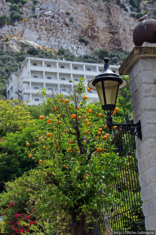 над садом нависает известный Rock Hotel Гибралтар город, Гибралтар