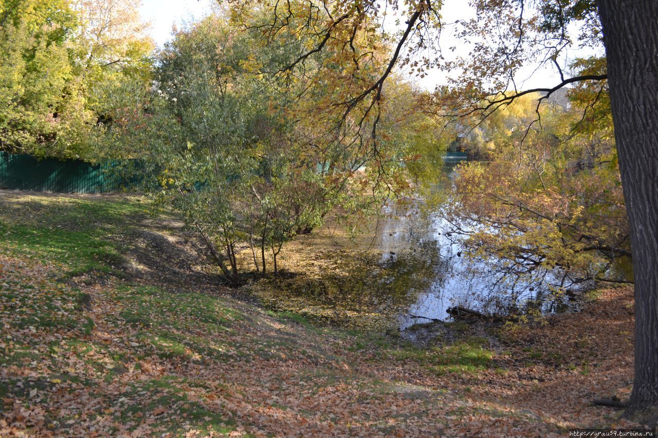 Городской парк культуры и отдыха 