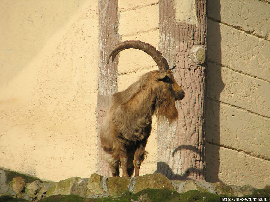 Дождливый биопарк Рима Рим, Италия Дождливый биопарк Рима Рим, Италия