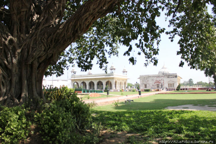В летописях говорится, чт В летописях говорится, чт