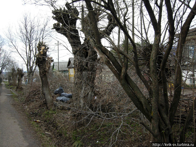 Куча мусора посреди ул Куча мусора посреди ул