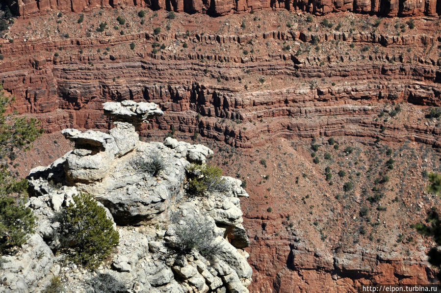 Там, где теряется Колорадо Национальный парк Гранд-Каньон, CША
