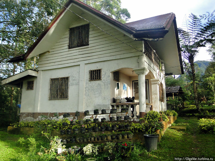 Агролесная ферма «Binahon» находится в лесу, на склоне хребта Китанглад. Точный адрес: Barangay (деревня) Songco, муниципалитет Лантапан (Lantapan), провинция Букиднон Агролесная ферма «Binahon» находится в лесу, на склоне хребта Китанглад. Точный адрес: Barangay (деревня) Songco, муниципалитет Лантапан (Lantapan), провинция Букиднон