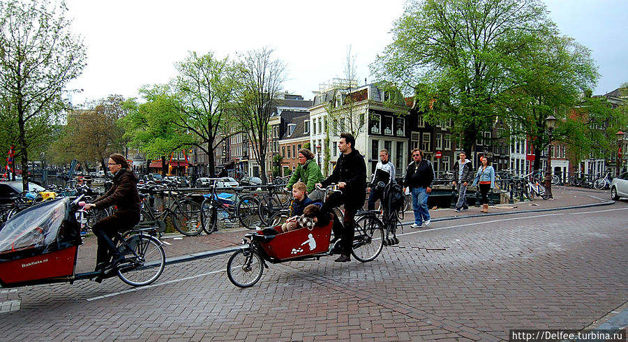Первые впечатления от Амстердама: так вот ты какой! Амстердам, Нидерланды
