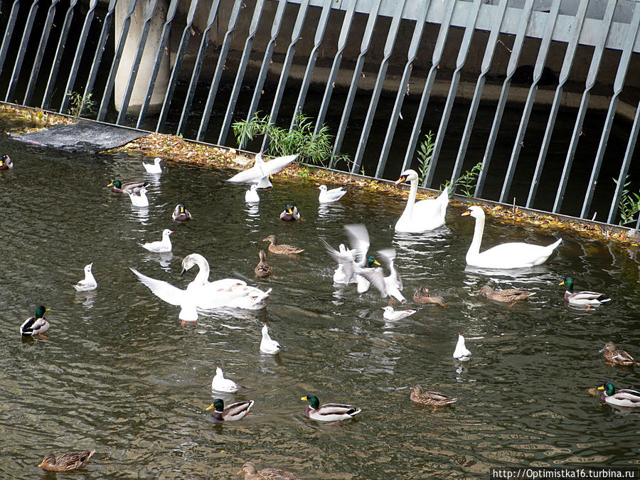 Просто Прага Прага, Чехия Просто Прага Прага, Чехия
