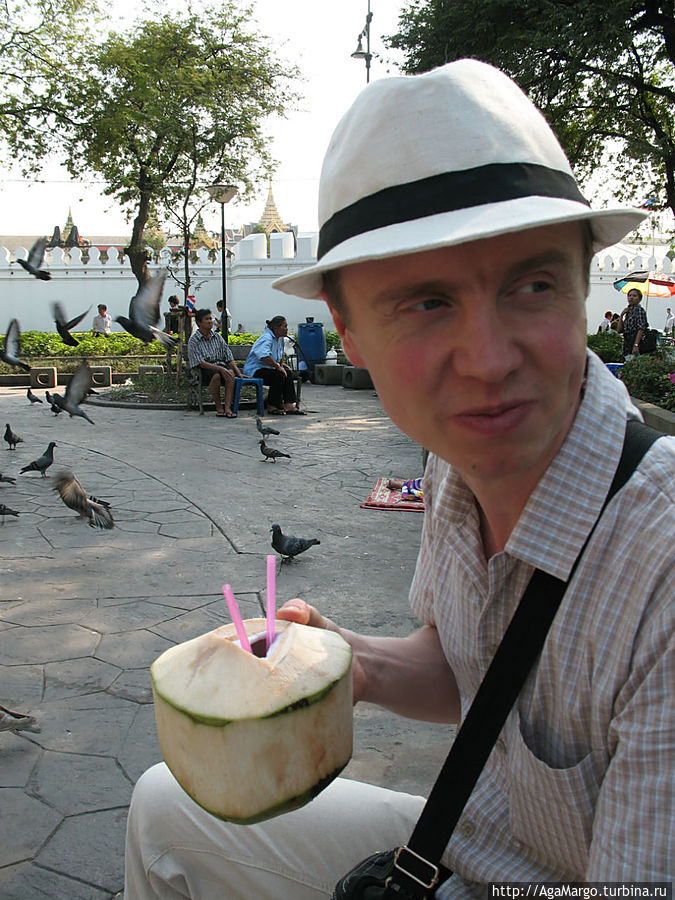 Пробуем кокосы Таиланд Пробуем кокосы Таиланд