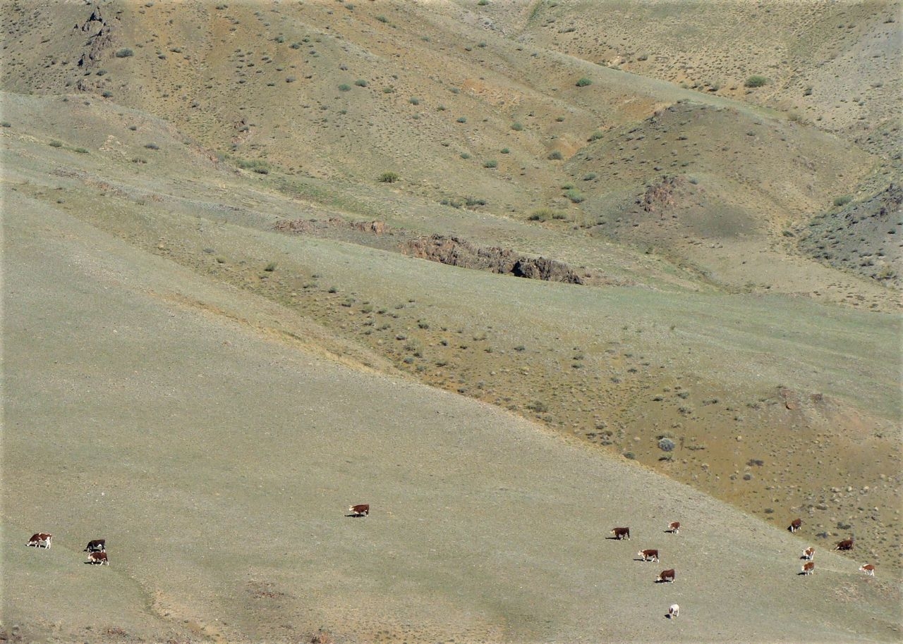 Mars landscape Chagan-Uzun Чаган-Узун, Россия
