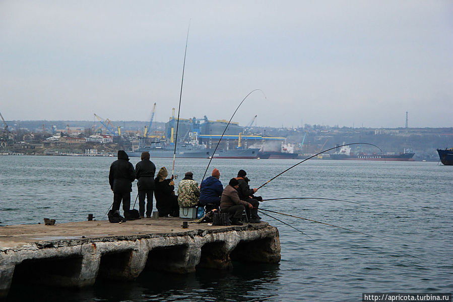 местные рыбаки ловят ставридку, но на днях ожидают сельдь Севастополь, Россия