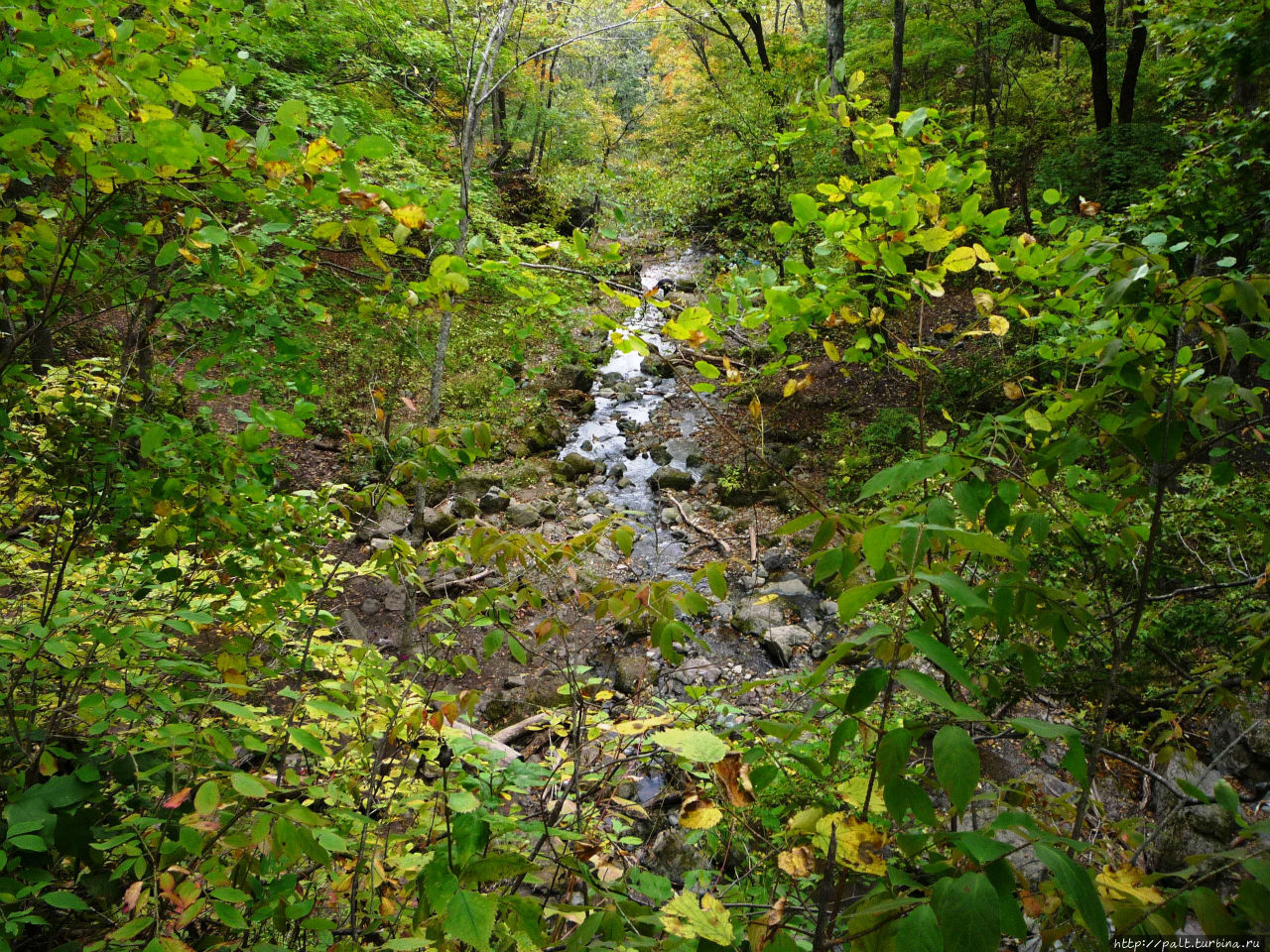 Кравцовские водопады Кравцовка, Россия