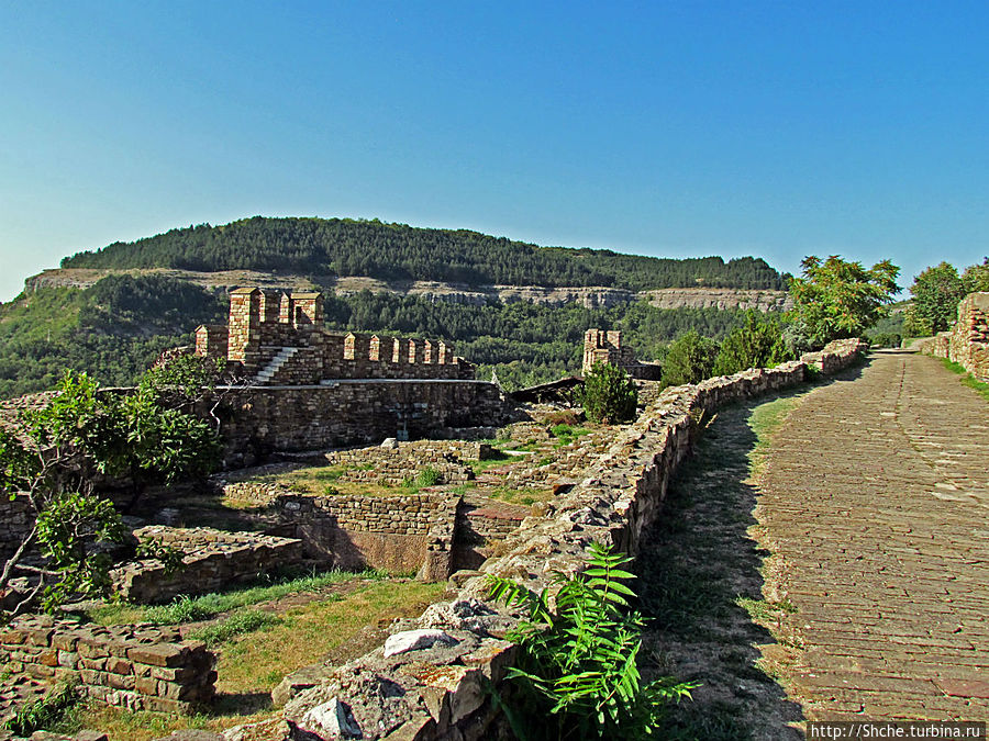 где здесь решили начать подъем на вершину холма где здесь решили начать подъем на вершину холма