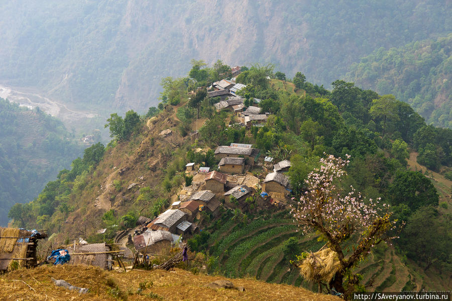 Звёздный шум Зона Гандаки, Непал