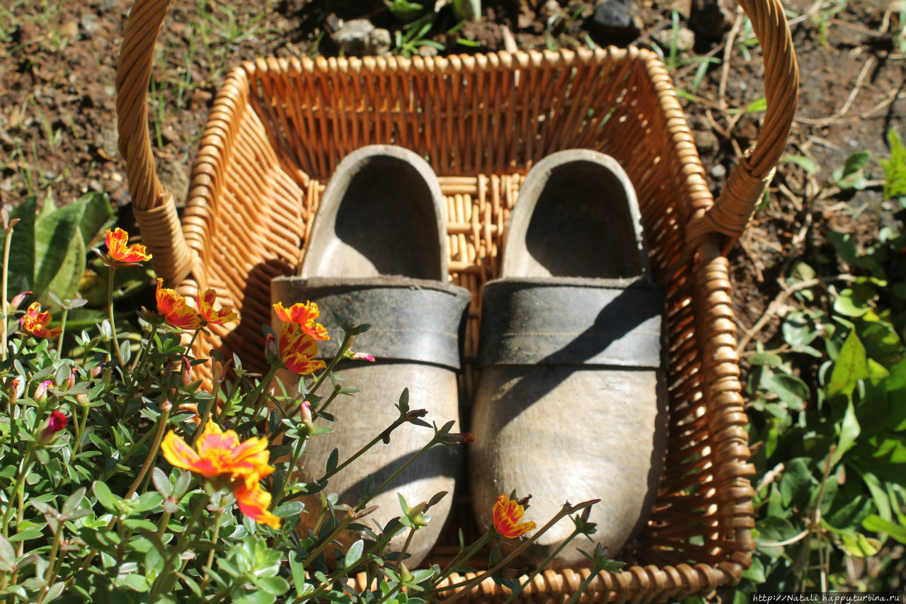 Не было печали... Не было печали...