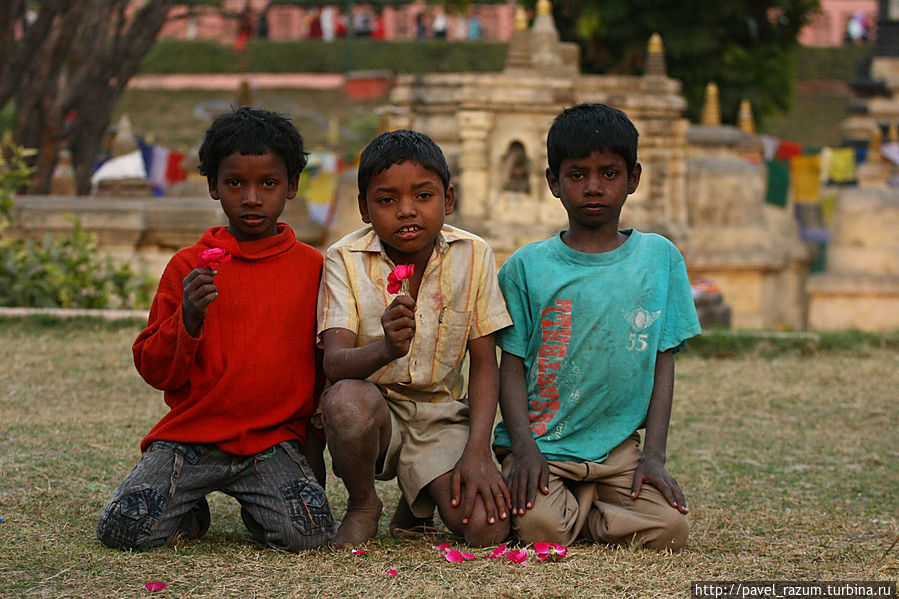 Индийские дети Индийские дети