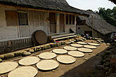 Заготовка риса в каждом дворе.