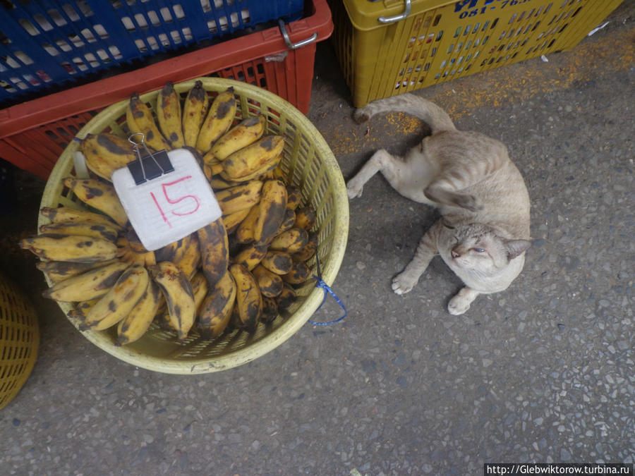 Прогулка у моста Рамы 4-го Пак-Крет, Таиланд Прогулка у моста Рамы 4-го Пак-Крет, Таиланд