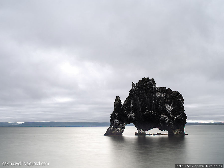 Фотоприключения в Исландии. Тюлени Северо-западная Исландия, Исландия