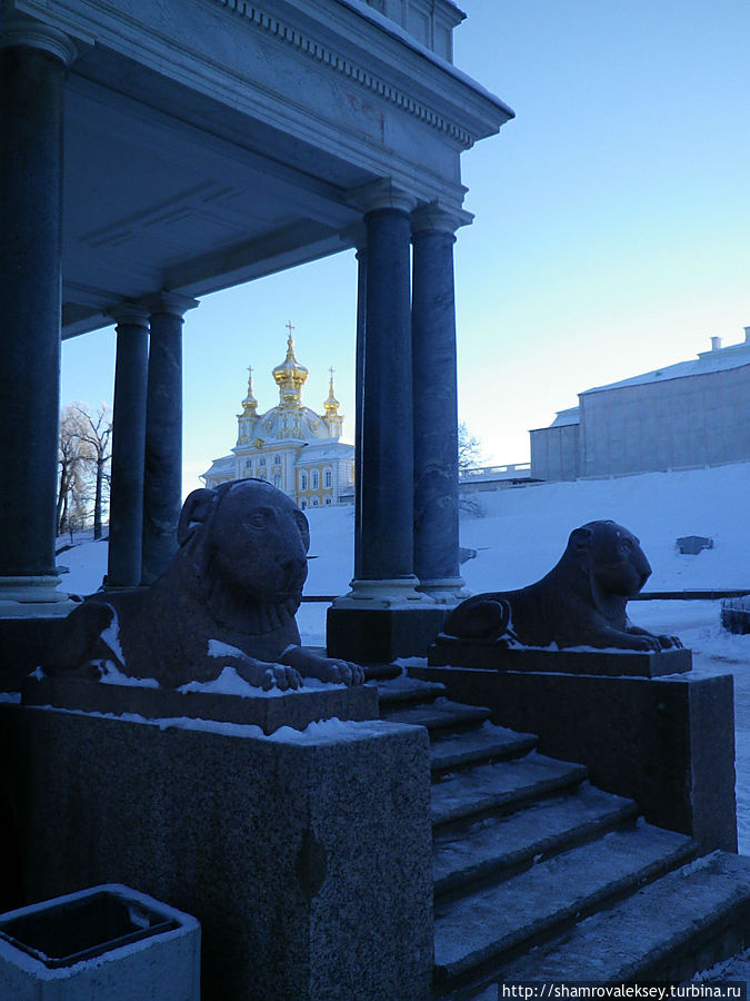 Хранители Воронихинских колоннад Петергоф, Россия