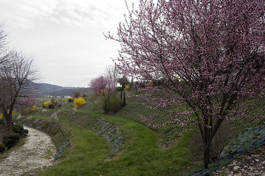 Весна на Эуганских холмах II Абано-Терме, Италия