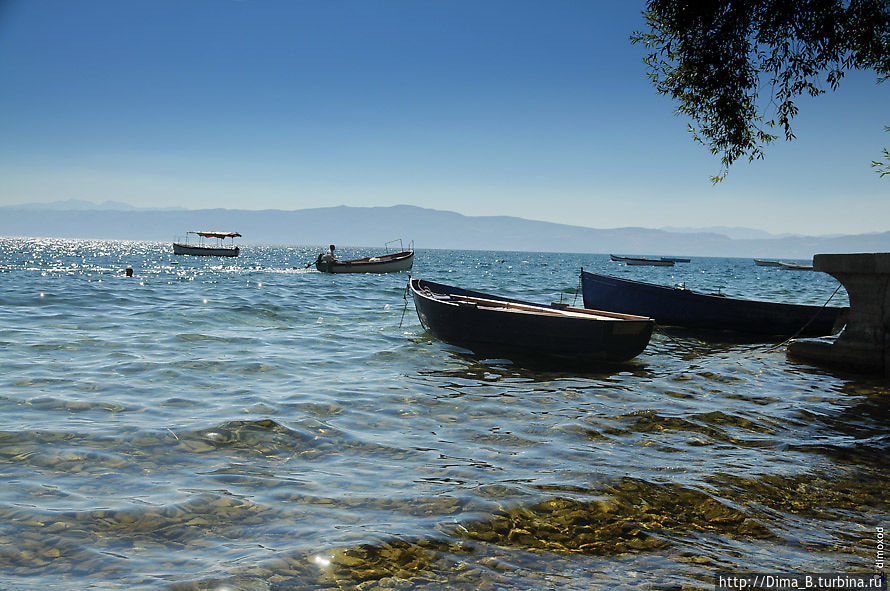 3) Озеро Охрид просто удивительное. Первый раз видел такое чистое озеро. А еще оно питьевое, можно плыть и пить. Когда снимали рыбок, которые плавали в воде, на кадрах они как будто  парят в воздухе. Судоходство почти запрещено, редким лодочкам разрешено плавать по нему, ведь оно охраняется Юнеско. Северная Македония