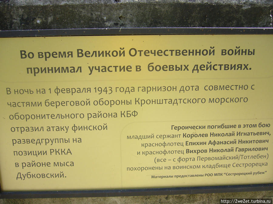 Под соснами Северной Ривьеры Сестрорецк, Россия Под соснами Северной Ривьеры Сестрорецк, Россия