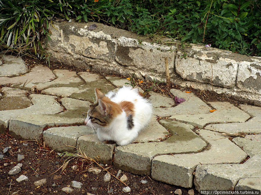Дидим в конце октября Дидим, Турция Дидим в конце октября Дидим, Турция