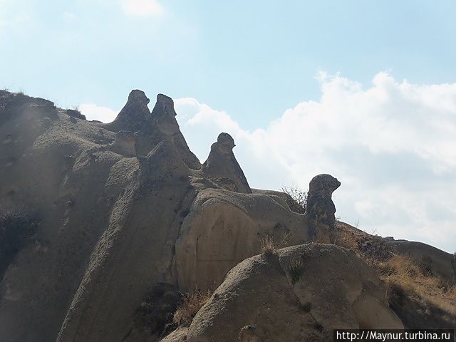 Чем не птицы ? Гёреме, Турция