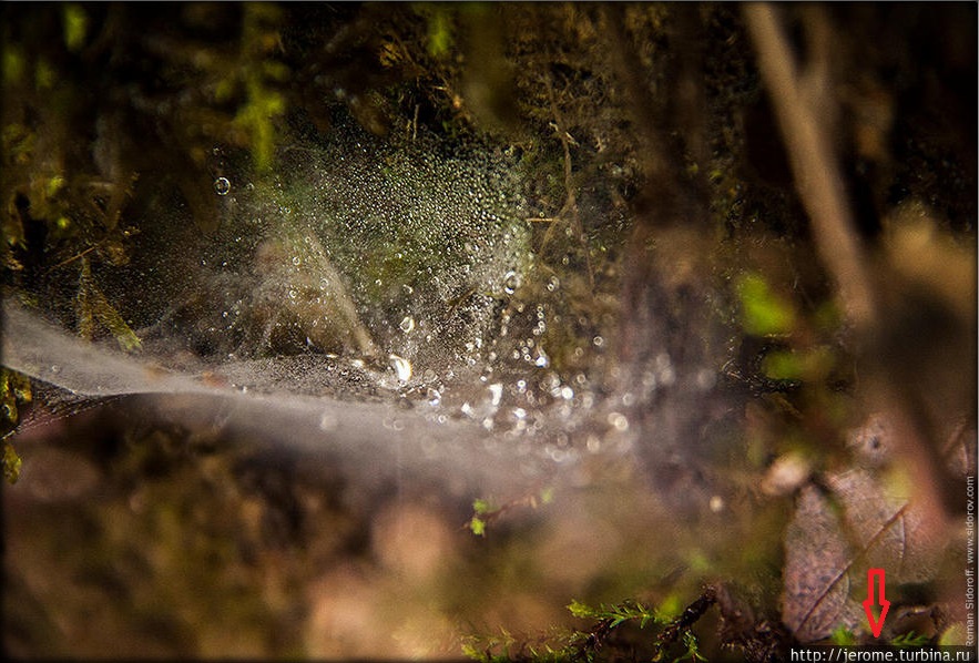 Итоги недели 14-20 апреля Итоги недели 14-20 апреля