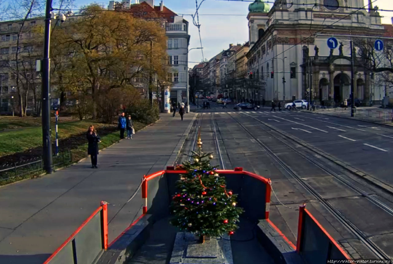 Рождественская ель курсирует по Праге на трамвае Прага, Чехия