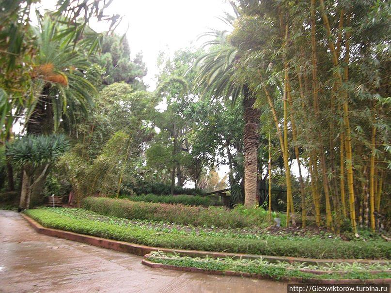 Рабат. Экзотические сады Рабат, Марокко