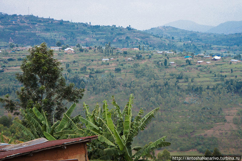 Ещё про Гиконгоро Гиконгоро, Руанда