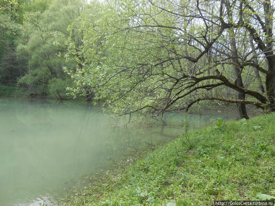 п. Мезмай Мезмай, Россия п. Мезмай Мезмай, Россия